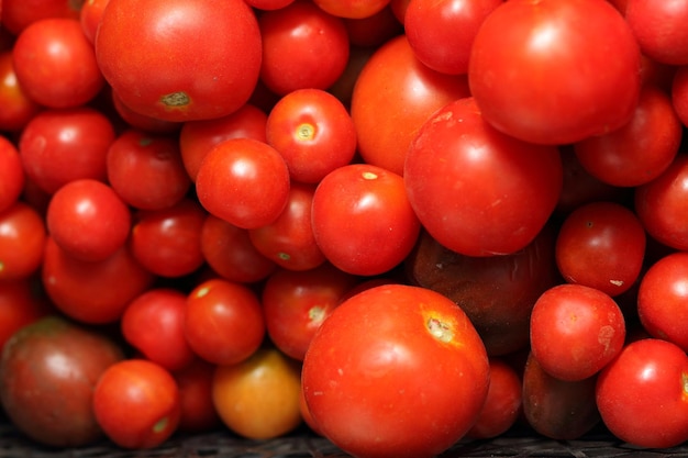 Deliziosi pomodori rossi Un sacco di pomodori rossi sfondo Pomodori maturi coltivati in giardino Close up