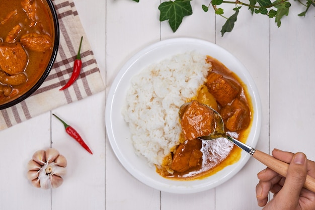 Delizioso e piccante arrosto di pollo al curry della cucina indiana.