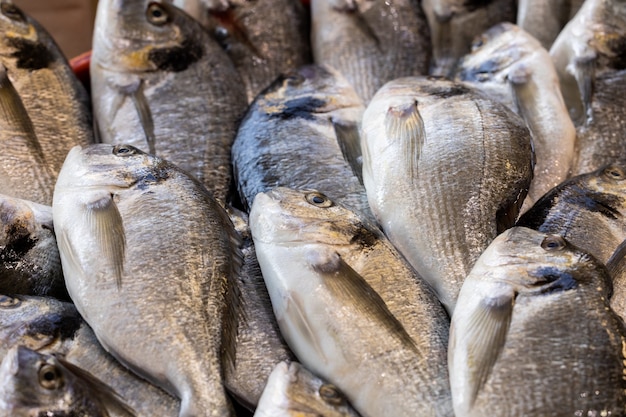 Delizioso pesce fresco al mercato