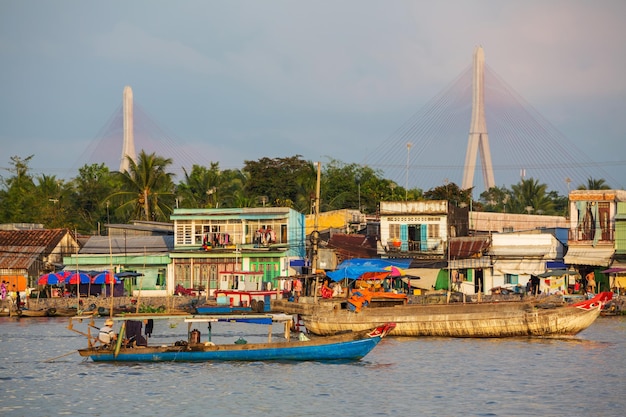 Delta del Mekong