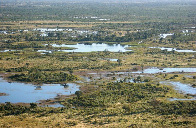 Delta dell'Okavango