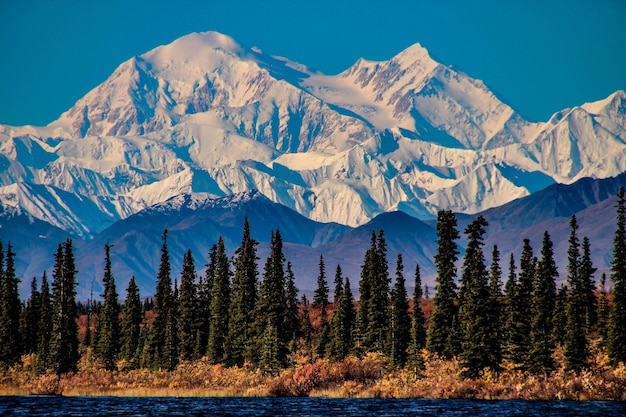 Denali Alaska