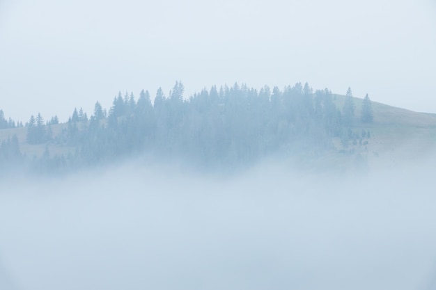 Densa nebbia e collina boscosa