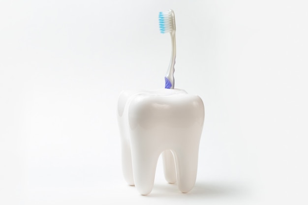 Dente bianco e spazzolino da denti colorato su sfondo bianco, concetto di cure odontoiatriche