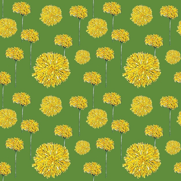 Denti di leone di fiori di campo dell'acquerello. Modello senza cuciture con fiori selvatici gialli su sfondo verde