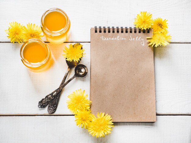 Denti di leone, notebook con una pagina vuota