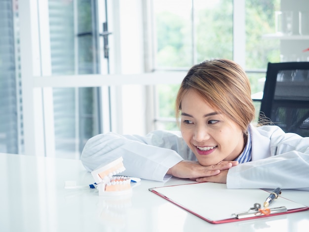 Dentista asiatico della donna che considera un modello della mascella