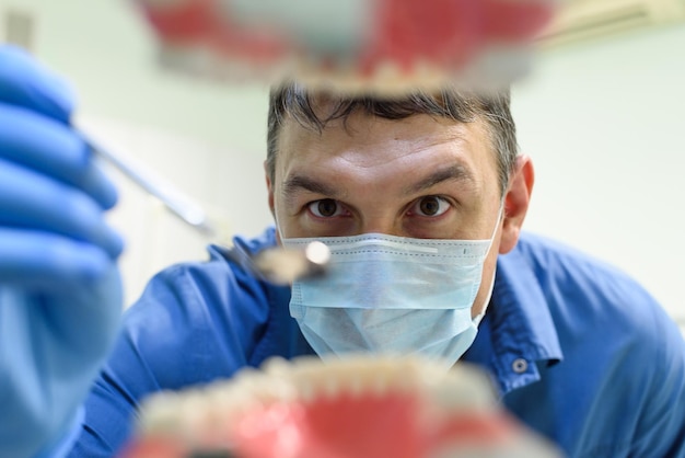 Dentista che mostra un modello di denti Il concetto di una moderna clinica dentale