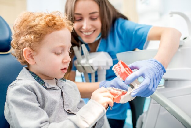 Dentista femminile che mostra la mascella artificiale del giovane ragazzo allo studio dentistico