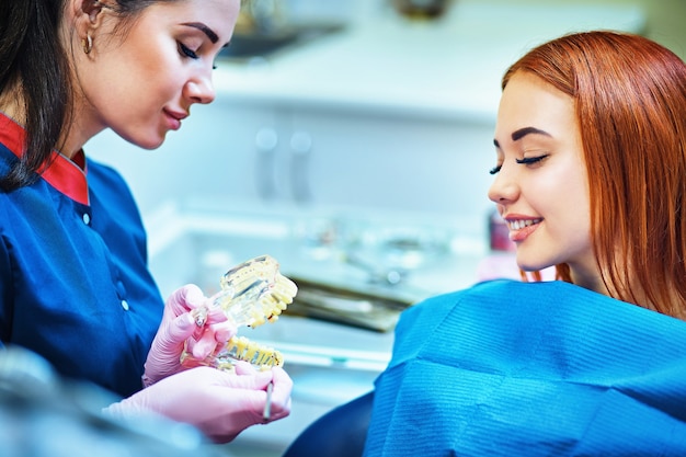 Dentista femminile che mostra la mascella artificiale del paziente presso lo studio dentistico