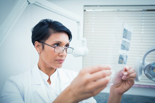 Dentista femminile concentrato che esamina raggi x