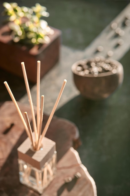 Deodorante per ambienti con bastoncini di bambù con profumo in vetro su sfondo scuro strutturato. Odore di caffè tonificante. Sfondo scuro. Chicchi di caffè tostati in una ciotola di cocco. Pianta succulenta. Luce solare, ombre.