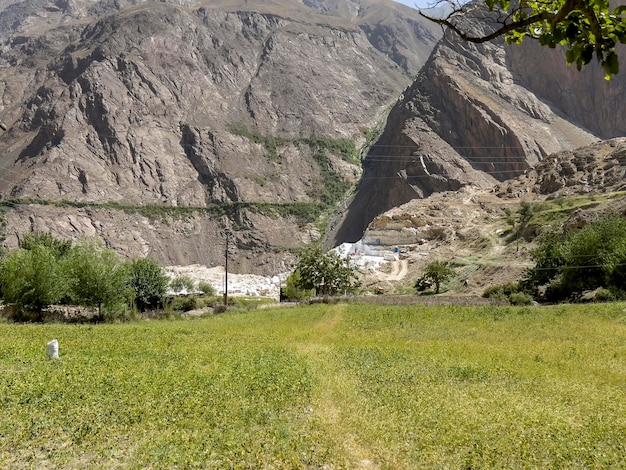 Depositi calcarei nel mezzo del Pamir