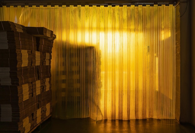 Deposito di magazzino giallo con confezione di cartone impilata e prodotto di esportazione in camera a temperatura controllata e sterile presso l'impianto di lavorazione