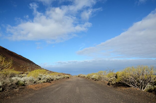 Desert road