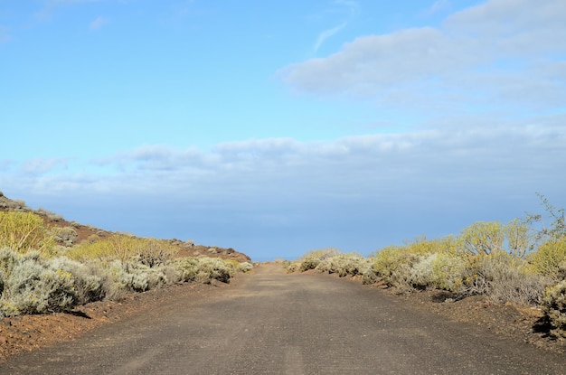 Desert road