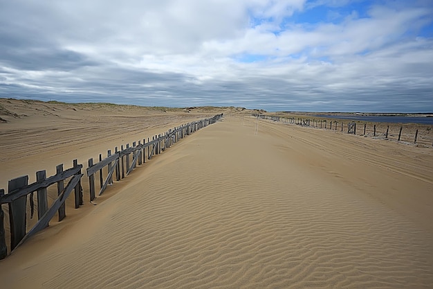 desertificazione, concetto di cambiamento climatico, riscaldamento globale/paesaggio desertico