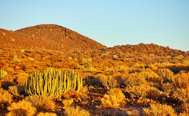 Deserto al tramonto inTenerife Island, Isole Canarie.