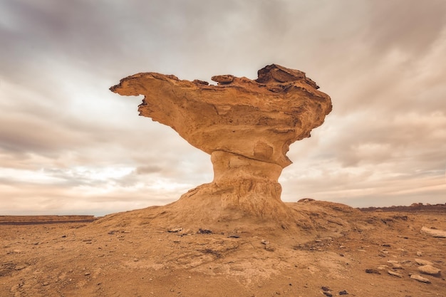 Deserto bianco e nero al tramonto Baharia Egitto