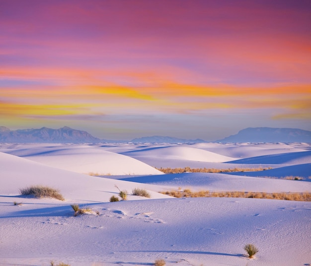 Deserto bianco