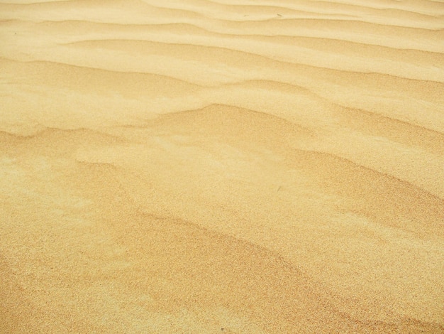 deserto con dune di sabbia dai colori caldi