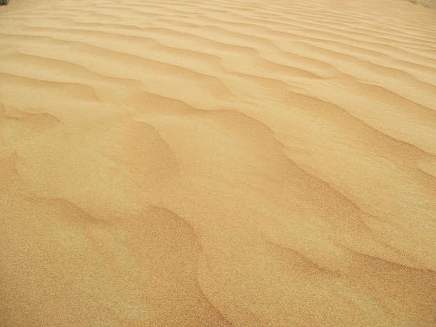 deserto con dune di sabbia dai colori caldi