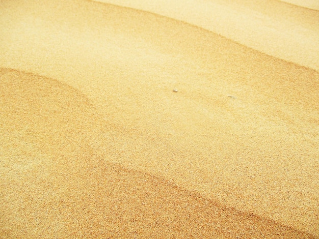 deserto con dune di sabbia dai colori caldi