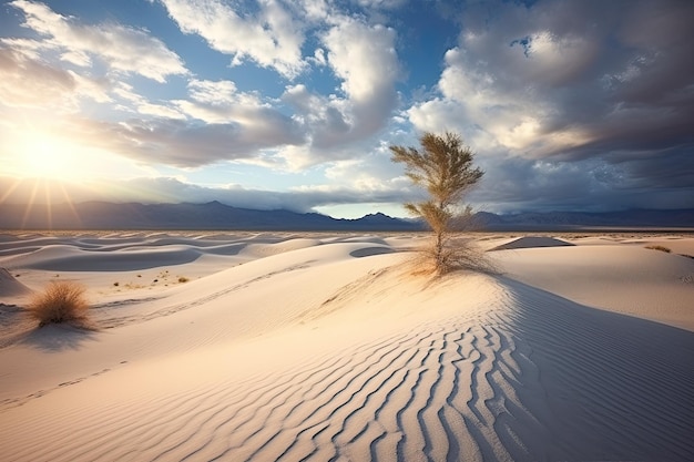 Deserto con lo sfondo naturale del concetto di riscaldamento globale della sabbia secca