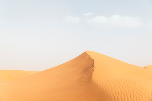 Deserto d'oro al tramonto. Marocco.