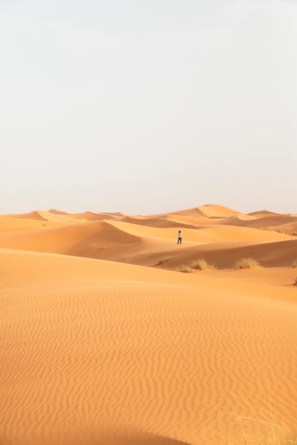 Deserto d'oro al tramonto. Marocco.