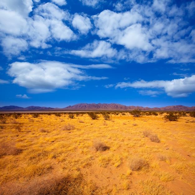 Deserto del Mohave in California Yucca Valley