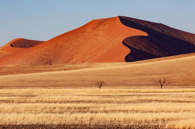 Deserto del Namib Namibia Africa