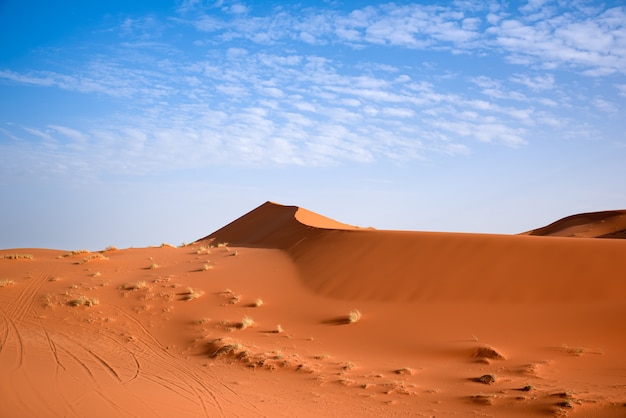 Deserto del Sahara a Marrakech, Marocco