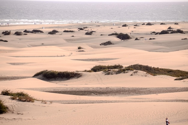 Deserto delle dune di sabbia a Maspalomas