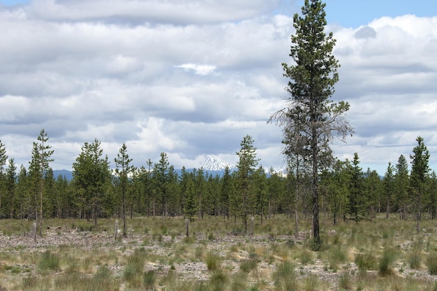 Deserto di Deschutes