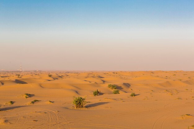 Deserto di dune di sabbia vicino a Dubai Emirati Arabi Uniti