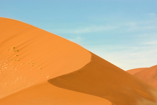 Deserto di Sossusvlei in Namibia