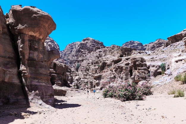 Deserto giordano a Petra