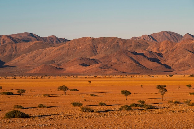 Deserto namibiano di sera