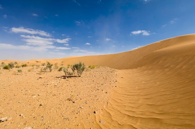 Deserto sabbioso Bellissimo paesaggio nel deserto marocchino maroc