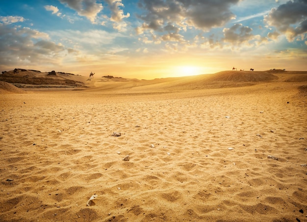 Deserto sabbioso in Egitto