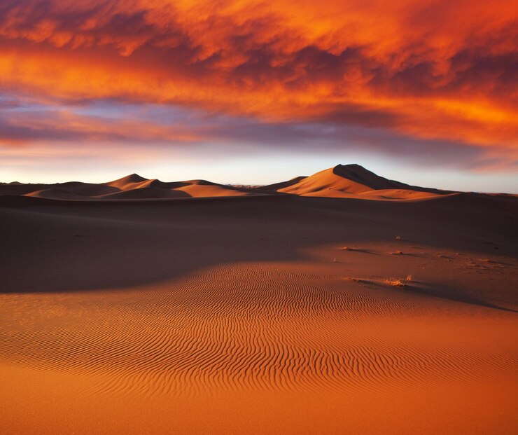 deserto