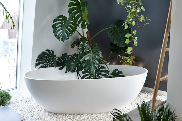 Design d'interni minimalista. Piante domestiche alla moda in bagno. Foglie di palma Monstera