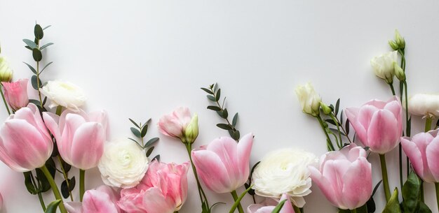 Design del bordo di fiori rosa e bianchi sul bianco