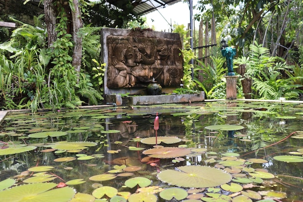 Design del parco tropicale, bocciolo di loto rosso nello stagno