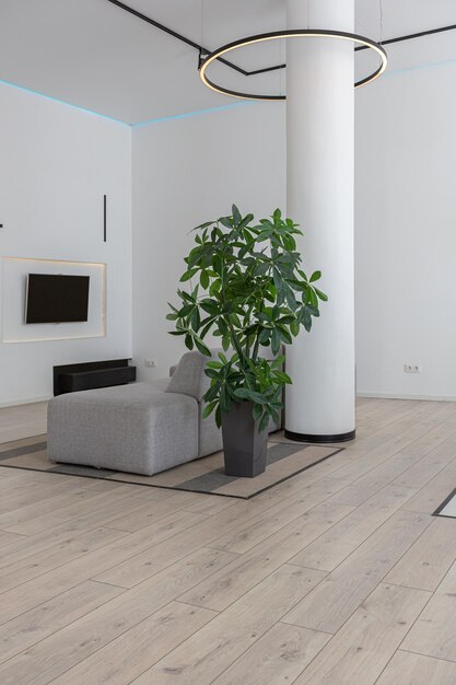 Design di lusso moderno minimalista di una casa costosa con rifiniture in marmo in una giornata di sole pareti bianche con illuminazione decorativa in parquet in gesso e nessuno all'interno