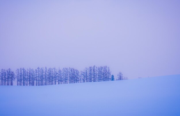 Destinazione di viaggio naturale Paesaggio invernale di montagna Bella natura innevata