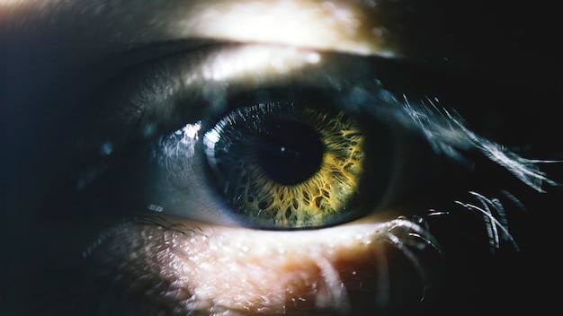 Detail shot of human eye with lashes