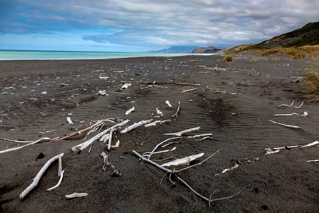 Detriti e legni sulla spiaggia di Rarangi in Nuova Zelanda