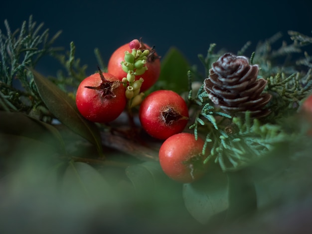 Dettagli della ghirlanda di Natale di abete rosso fresco, coni e decorazioni natalizie ÃƒÂ'Ã‚Â, vicino. Decorazioni di Capodanno.